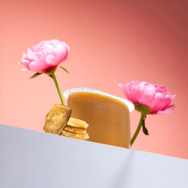 Traditional Nian Gao 年糕